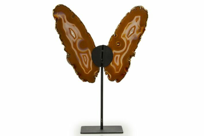 Agate Butterfly Wings - Brazil #322224